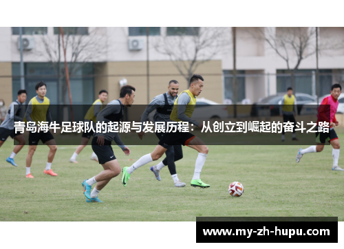 青岛海牛足球队的起源与发展历程：从创立到崛起的奋斗之路